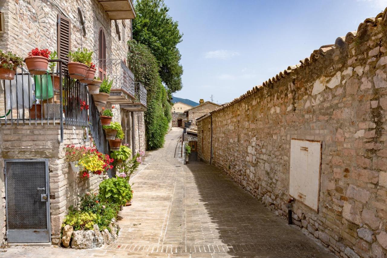 Rustic House, Con Patio E Giardino, Assisi Centro Villa ภายนอก รูปภาพ